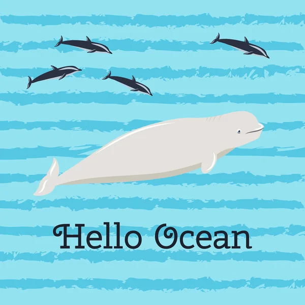 Hello Ocean Färgglada Banner Med Beluga — Stock vektor