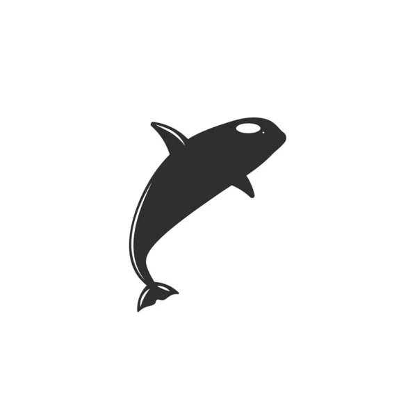 Killer Whale Isolated White Background — Stock Vector