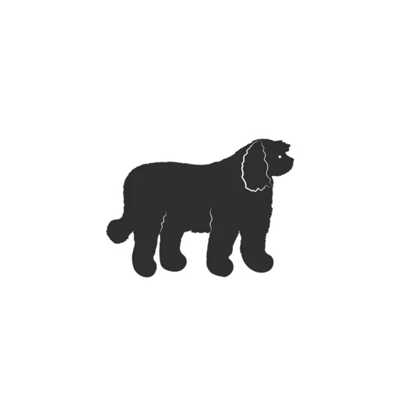 Komondor Hond Geïsoleerd Witte Achtergrond — Stockvector