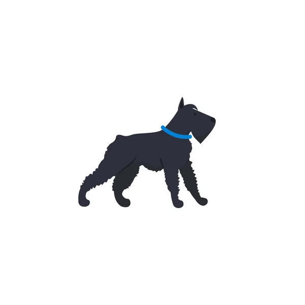 白い背景に隔離されたミッテルシュナウザー犬 — ストックベクタ