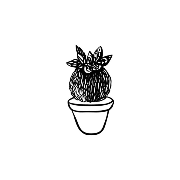 Parodia Pot Dessiné Isolé Sur Fond Blanc — Image vectorielle