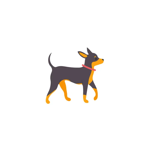 Russian Toy Terrier Isolerad Vit Bakgrund — Stock vektor