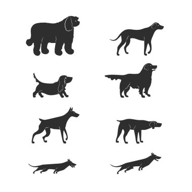 Köpekler beyaz arka planda izole set