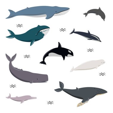 drawn whales isolated on white background clipart