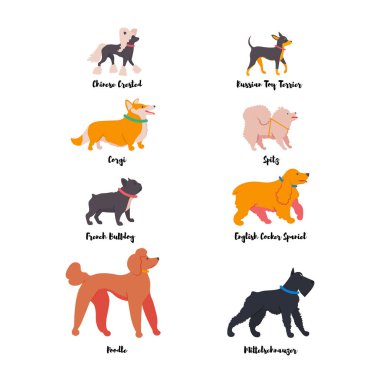 Köpekler beyaz arka planda izole set