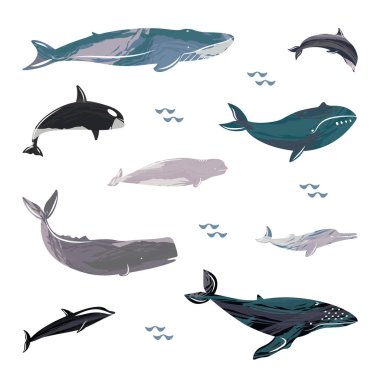 Beyaz arka planda izole balinalar çizilmiş