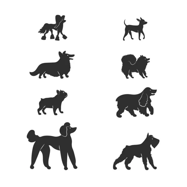 Set Perros Aislados Sobre Fondo Blanco — Vector de stock