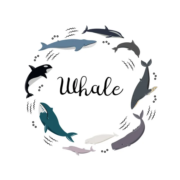 Narysowane Wieloryby Białym Tle — Wektor stockowy