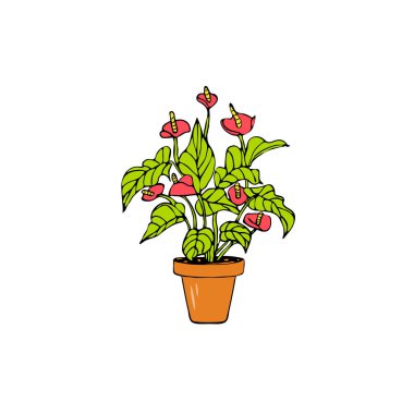 beyaz arka plan üzerinde izole edilmiş saksı antoryum çizilmiş