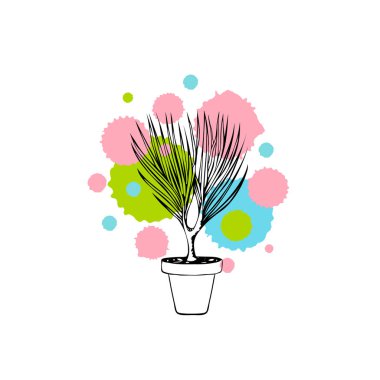 beyaz arka plan üzerinde izole saksı dracaena bitki çizilmiş