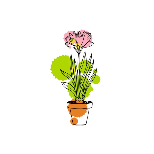 Beyaz Arka Plan Üzerinde Izole Çizilmiş Saksı Clivia Bitki — Stok Vektör