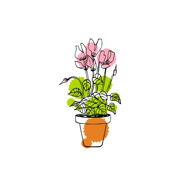 Kreslené Cyklamen Květináči Izolované Bílém Pozadí — Stockový vektor