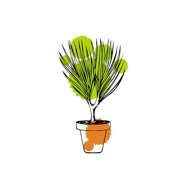 Desenhado Vaso Dracaena Planta Isolada Fundo Branco — Vetor de Stock