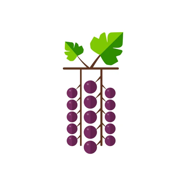 Winogrona Izolowane Białym Tle — Wektor stockowy