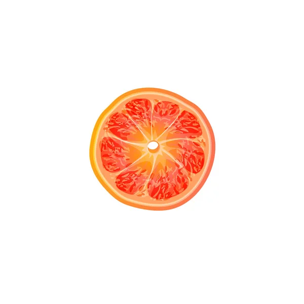 Grapefruitový Plátek Izolovaný Bílém Pozadí — Stockový vektor