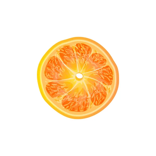 Rebanada Naranja Aislada Sobre Fondo Blanco — Vector de stock