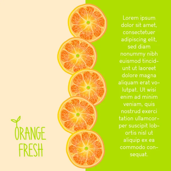 Orangenscheiben Auf Grünem Und Beigem Hintergrund — Stockvektor