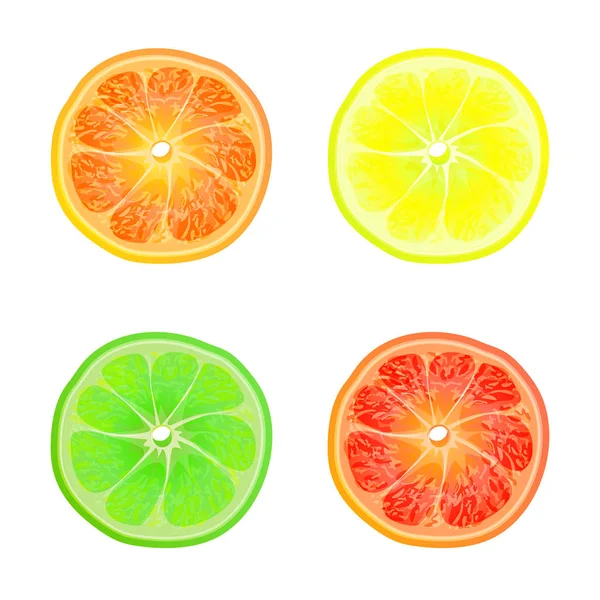 Orangen Zitronen Limetten Und Grapefruitscheiben Isoliert Auf Weißem Hintergrund — Stockvektor