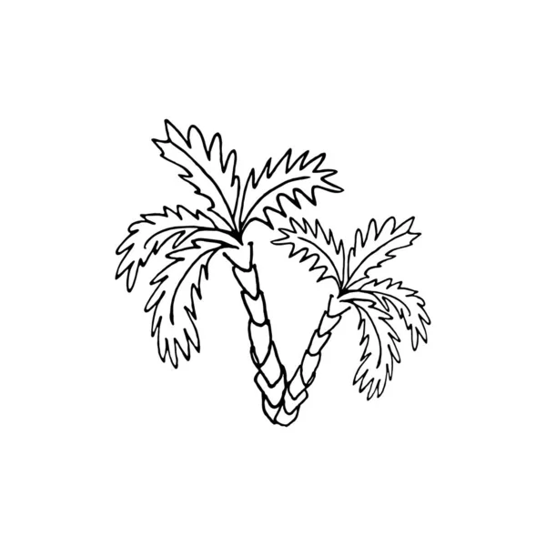 Černé Palmy Izolované Bílém Pozadí — Stockový vektor