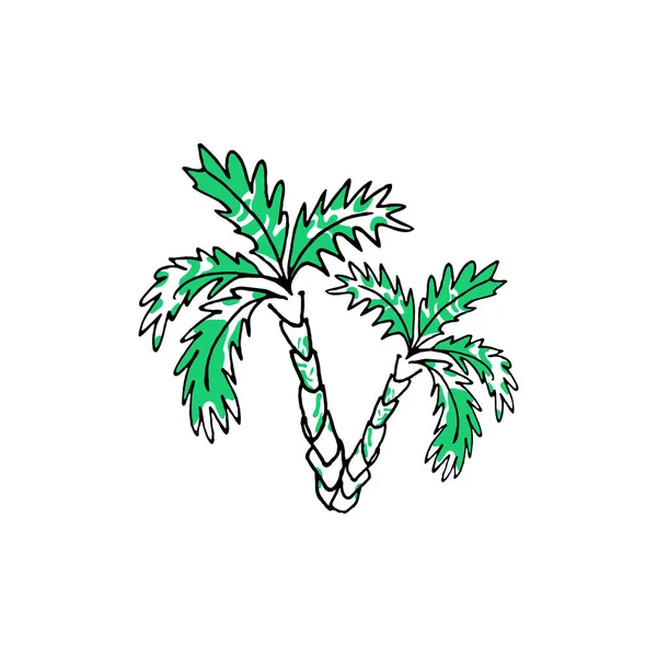 Zielone Palmy Białym Tle — Wektor stockowy