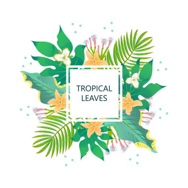 Tropic beyaz arka planda izole yaprakları