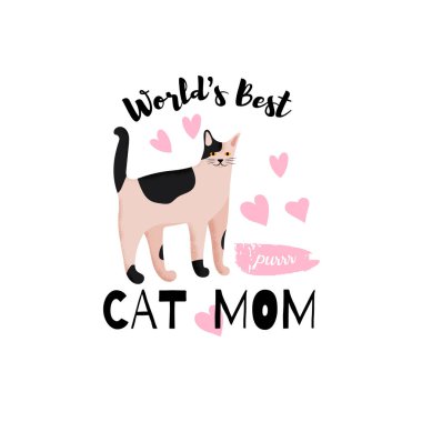 Beyaz arka plan üzerinde izole yerli kedi