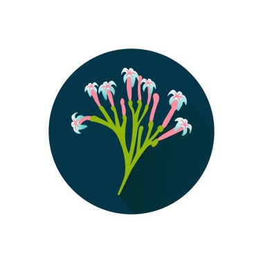 Beyaz arka plan üzerinde izole koyu daire Cinchona dalı