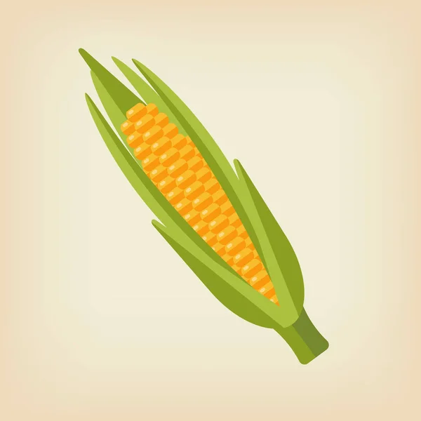 Frischer Mais Auf Beigem Hintergrund — Stockvektor