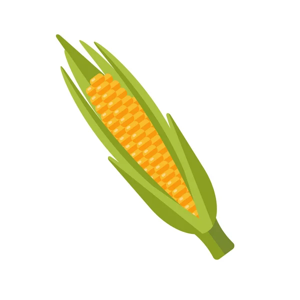 Mais Isoliert Auf Weißem Hintergrund — Stockvektor