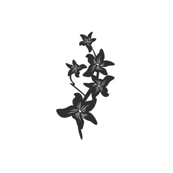 Černé Plumerie Květiny Izolované Bílém Pozadí — Stockový vektor