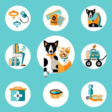 köpek ve kedi, renkli afiş ile seyahat 
