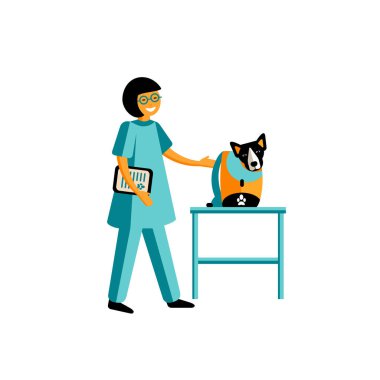 beyaz arka plan üzerinde izole köpek ile veteriner