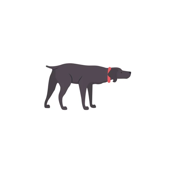 Weimaraner Aislado Sobre Fondo Blanco — Vector de stock