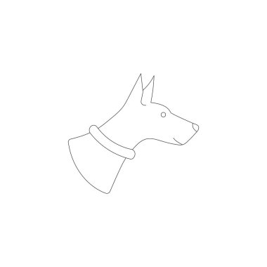 beyaz arka plan üzerinde izole bir köpek