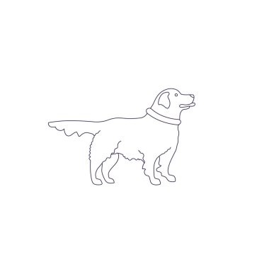 beyaz arka plan üzerinde izole bir köpek