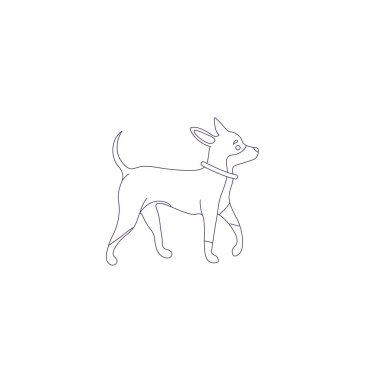 beyaz arka plan üzerinde izole bir köpek