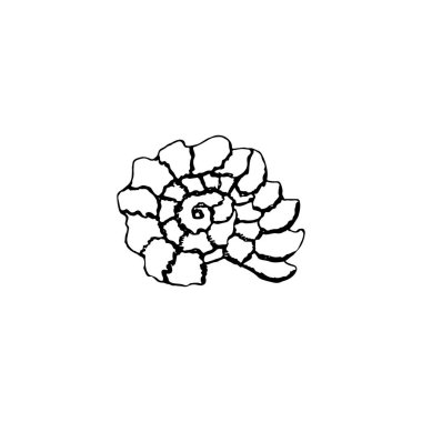 beyaz arka plan üzerinde izole hayvan kroki