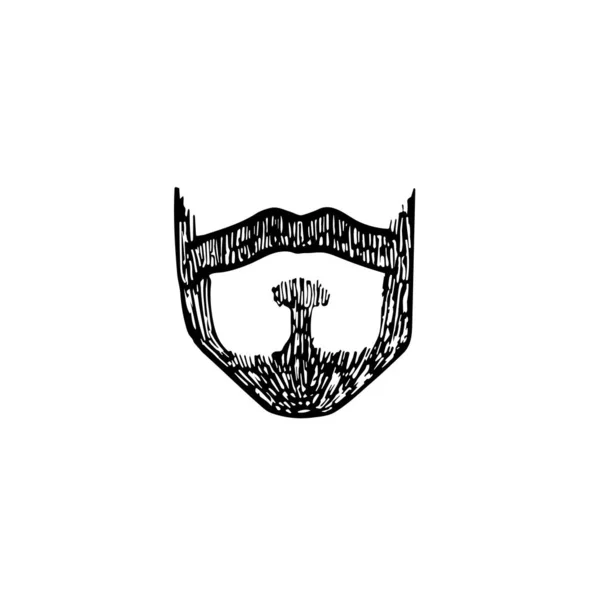 Moustaches Dessinées Barbe Isolée Sur Fond Blanc — Image vectorielle