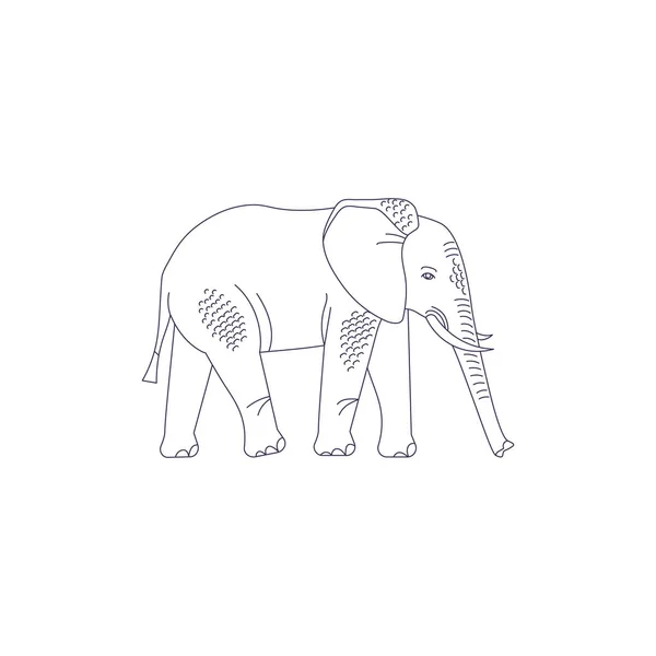 Boceto Animal Aislado Sobre Fondo Blanco — Vector de stock