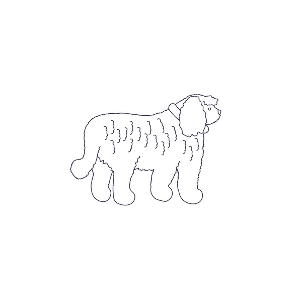 Perro Aislado Sobre Fondo Blanco — Vector de stock