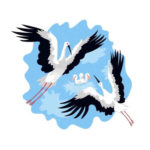 Cartoon Storks Geïsoleerd Witte Achtergrond — Stockvector