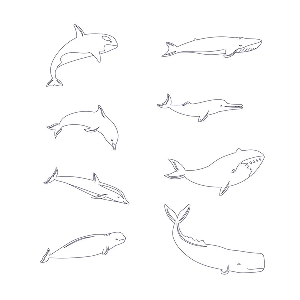 Bosquejo Animales Aislados Sobre Fondo Blanco — Vector de stock