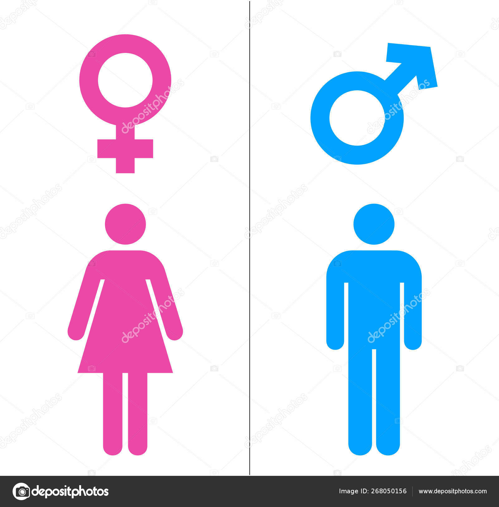 Male and Female Icons With Blue And Pink Color. Gender Symbol Vector ...