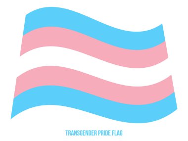 Transgender Pride Bayrak Waving Vektör İllüstrasyon Doğru Renk Düzeni ile Tasarlanmıştır