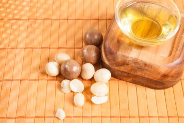 Macadamia fıstığı - Macadamia integrifolia