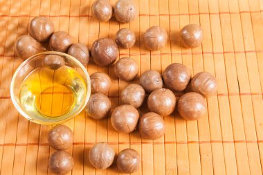 Macadamia fıstığı - Macadamia integrifolia