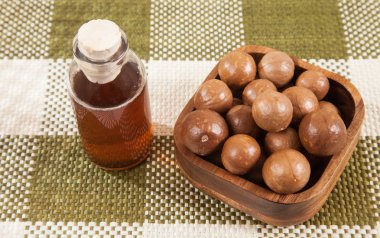 Macadamia fıstığı - Macadamia integrifolia