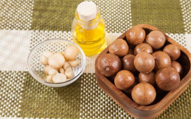 Macadamia fıstığı - Macadamia integrifolia