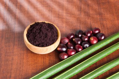 amazon acai meyve.