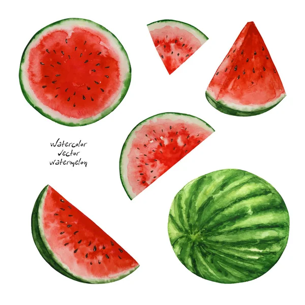 Watercolor Watermelons Paint Texture Vector — Stock Vector